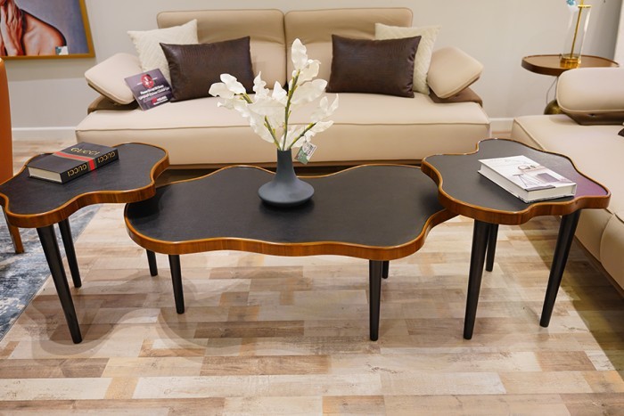 Vega coffee table set, three pieces, art-201