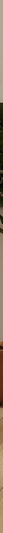 دولاب 100×220سم - FFU27