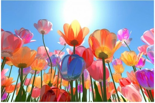 تابلوه 80×60سم- ZEO1